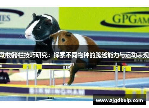 动物跨栏技巧研究：探索不同物种的跨越能力与运动表现