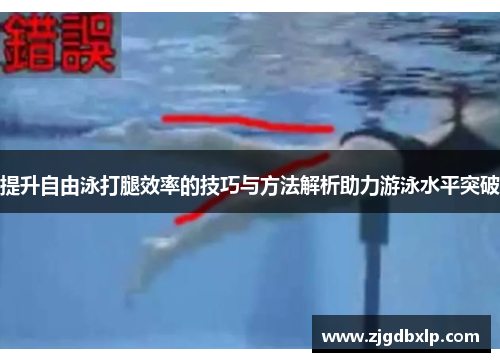 提升自由泳打腿效率的技巧与方法解析助力游泳水平突破