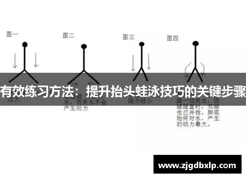 有效练习方法：提升抬头蛙泳技巧的关键步骤