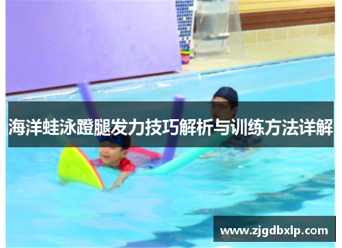 海洋蛙泳蹬腿发力技巧解析与训练方法详解