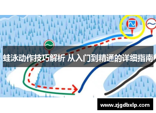 蛙泳动作技巧解析 从入门到精通的详细指南