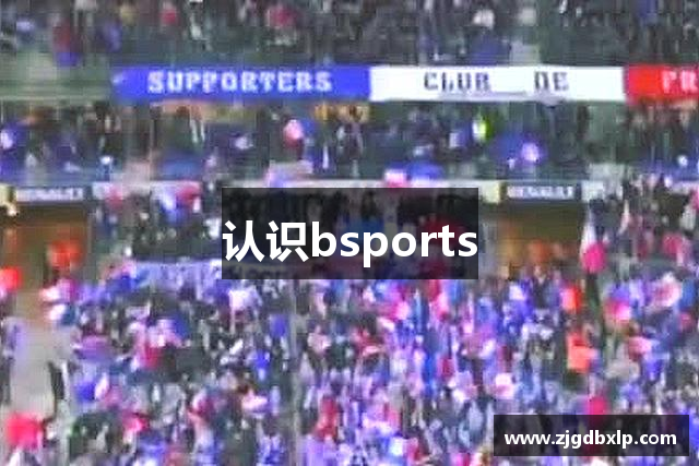 认识bsports